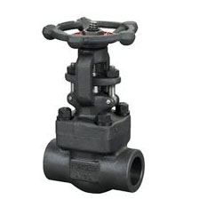 Z61Y��Z61H��Z61W���l�y