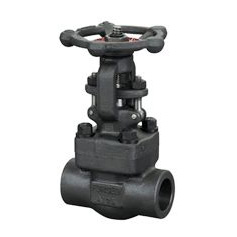 Z61Y��Z61H���l�y